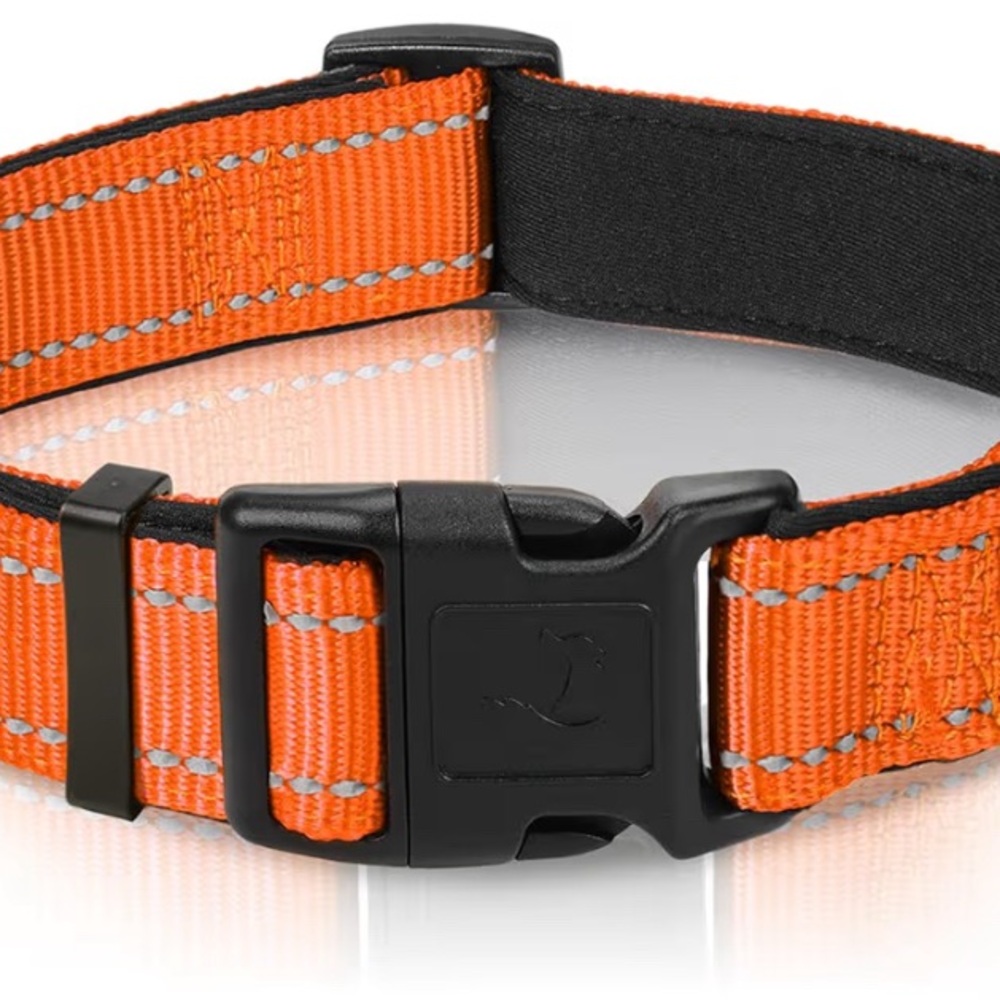 Orange Reflective Dog Collar